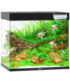 JUWEL® AQUARIUM Lido 200 LED