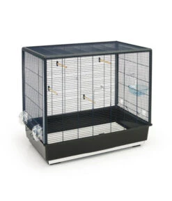 SAVIC Vogelheim Primo 60