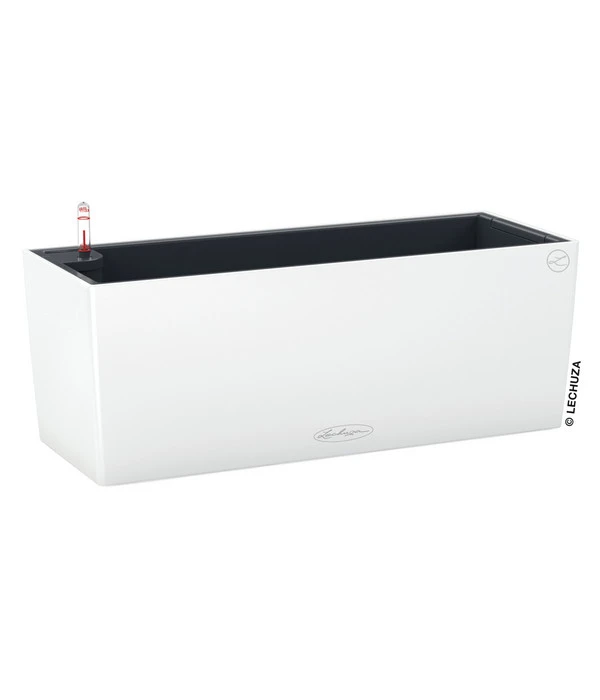 LECHUZA® Kunststoff-Kasten Balconera Color, Rechteckig