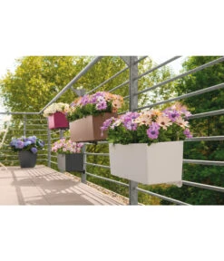 LECHUZA® Balkonkastenhalter -Gartenmöbel Geschäft 1703222 1703230 1703263 1703297 1703305 1703313 WE MO 001 LechuzaBalconeraColorAllinOneSetBalkonkastenBlumenkasten