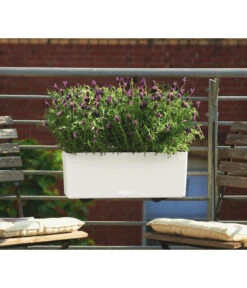 LECHUZA® Kunststoff-Kasten Balconera Color, Rechteckig -Gartenmöbel Geschäft 1703263 WE MO 001 BalconeraColor50cmbraun