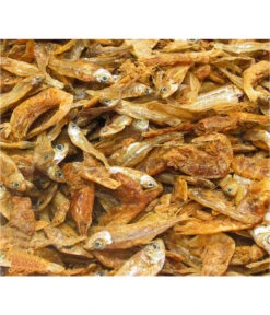 JBL Schildkrötenfutter Energil -Gartenmöbel Geschäft 1785583 WE D 001 JBLEnergilSKFutter