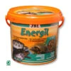 JBL Schildkrötenfutter Energil -Gartenmöbel Geschäft 1785583 WE FS 001 JBLEnergilSKFutter