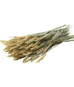 Dehner Best Nature Weizen, 75 G 5 Dehner Best Nature Weizen, 75 G -Gartenmöbel Geschäft 1786466 WE D 001 DehnerBestNatureErnteWeizen