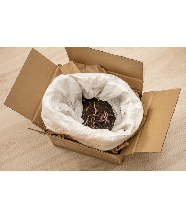 Neudorff Bestell-Set Kompostwürmer 5 Neudorff Bestell-Set Kompostwürmer – Bild 3