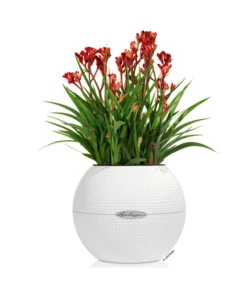 LECHUZA® PURO Color, All-in-One-Set, Rund, Ca. Ø20 Cm -Gartenmöbel Geschäft 2418622 WE FS 002 PuroColor20cmweiss