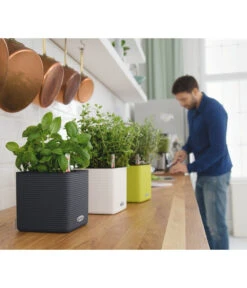 LECHUZA® CUBE Color, All-in-One Set -Gartenmöbel Geschäft 2843480 2843464 2843530 WE MO 001 CubeColor14AnthazitWeissLimettengruen