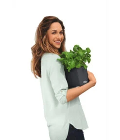 LECHUZA® CUBE Color, All-in-One Set -Gartenmöbel Geschäft 2843480 WE MO 002 CubeColor14GrauLechuza