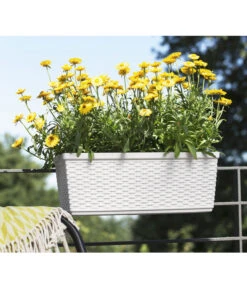 Dehner Kunststoff-Flechtkasten Dallas, Rechteckig -Gartenmöbel Geschäft 2889723 WE FS 002 CasaMash weiss