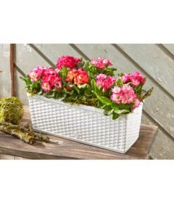 Dehner Kunststoff-Flechtkasten Dallas, Rechteckig -Gartenmöbel Geschäft 2889822 WE MO 002 DehnerKunststoffFlechtkastenweissBlumentopf