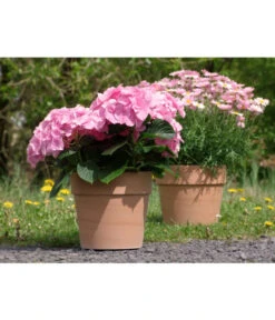 Spang Terrakotta-Pflanzgefäß Calima 15 Spang Terrakotta-Pflanzgefäß Calima -Gartenmöbel Geschäft 2919595 2919652 2919694 2919736 2919835 2919843 WE FS 001 TerrakottaTopfCalimaantik