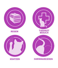 FELIWAY® Alltagshelfer Classic Nachfüllflakon -Gartenmöbel Geschäft 3019957 WE M 003 CevaFeliwayClassicStarterSet