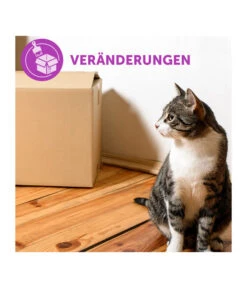 FELIWAY® Alltagshelfer Classic Nachfüllflakon -Gartenmöbel Geschäft 3019957 WE M 003 neuCevaFeliwayClassicStarterSet