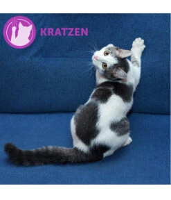 FELIWAY® Alltagshelfer Classic Nachfüllflakon -Gartenmöbel Geschäft 3019957 WE M 004 CevaFeliwayClassicStarterSet