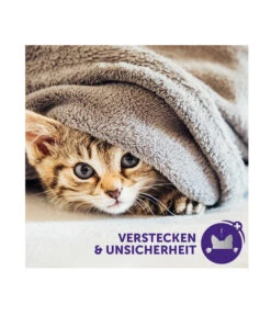 FELIWAY® Alltagshelfer Classic Nachfüllflakon -Gartenmöbel Geschäft 3019957 WE M 005 neuCevaFeliwayClassicStarterSet