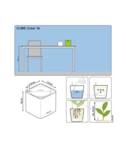 LECHUZA® CUBE Color, All-in-One Set -Gartenmöbel Geschäft 3179769 3179777 3179751 WE DE 001 CubeColor16