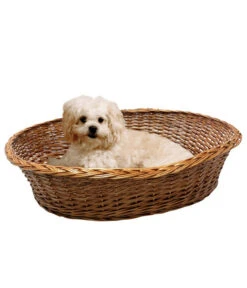 Silvio Design Ruhekorb Mit Kissen 5 Silvio Design Ruhekorb Mit Kissen -Gartenmöbel Geschäft 3190055 WE M 001 RuhekorbmitKissen