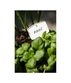 Elho Pflanz-Stift, 5 Stück -Gartenmöbel Geschäft 3266806 MO FS 001 PflanzstiftMweissElhoEtikett