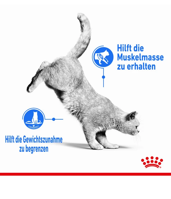 ROYAL CANIN® Nassfutter Für Katzen Light Weight Care In Soße, 12 X 85 G 4 ROYAL CANIN® Nassfutter Für Katzen Light Weight Care In Soße, 12 X 85 G – Bild 2
