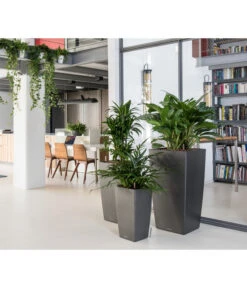 LECHUZA® CUBICO Premium, All-in-One-Set -Gartenmöbel Geschäft 3683828 3683893 5495460 WE MO 005 CubicoPremiumAnthrazit