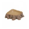 Hobby® Terrariumzubehör Trinkschale Stump -Gartenmöbel Geschäft 3719986 WE FS 001 DohseAquaTrinkschaleStump