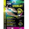 JBL Teichfischfutter ProPond Sterlet -Gartenmöbel Geschäft 3904109 WE FS 002 JBLPropondSterlet