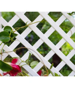 KHW Kunststoff-Pflanzkasten Mit Spalier, 43 X 43 X 140 Cm -Gartenmöbel Geschäft 3913688 WE DE 006 KastenSpalier43weiss