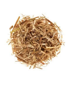 Neu eingetroffen -Gartenmöbel Geschäft 3940285 BildD 001 PilzmaennchenBioHomePilzzuchtsetAusternpilzPilzbrutAusternpilzSet