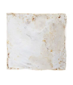 Pilzmännchen Bio Pilzzuchtset Austernpilz -Gartenmöbel Geschäft 3940285 BildD 002 PilzmaennchenBioHomePilzzuchtsetAusternpilzPilzbrutAusternpilzSet