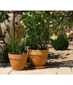 Spang Terrakotta-Pflanztopf Levante, Rund, Marmoriert -Gartenmöbel Geschäft 3952744 BildM 001 TerrakottaPflanztopfLevanteTerrPflanztopf19Cm