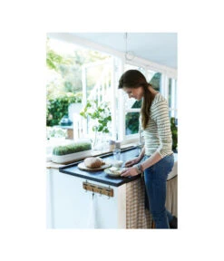 Elho Anzuchthaube L -Gartenmöbel Geschäft 4026704 WE MO 001 AnzuchthausLTransparentElho