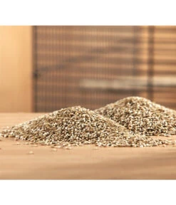 Dehner Kanariensaat, 1 Kg -Gartenmöbel Geschäft 413609 BildM 001 DehnerQualitaetsfutterKanariensaatKanariensaat1Kg