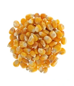 Dehner Körnermais, 2,5 Kg -Gartenmöbel Geschäft 414078 BildD 001 DehnerKoernermaisKoernermais25Kg