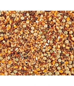 Dehner Rassetauben-Futter -Gartenmöbel Geschäft 415000 BildD 001 DehnerRassetaubenfutterRassetaubenfutter1Kg