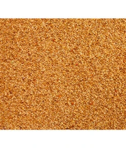 Dehner Senegalhirse, 1 Kg -Gartenmöbel Geschäft 415224 BildD 001 DehnerQualitaetsfutterSenegalhirseSenegalhirse1Kg