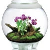 BiOrb® Terrarium AIR 60
