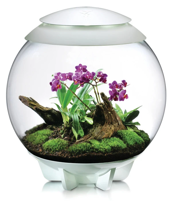 BiOrb® Terrarium AIR 60 3 BiOrb® Terrarium AIR 60