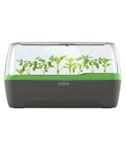 Romberg BoQube Gewächshaus -Gartenmöbel Geschäft 4299970 WE FS 005 RombergGewaechshausZimmergewaechshausAnzucht