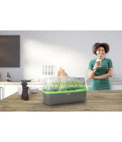 Romberg BoQube Gewächshaus -Gartenmöbel Geschäft 4299970 WE MO 001 RombergGewaechshausZimmergewaechshausAnzucht