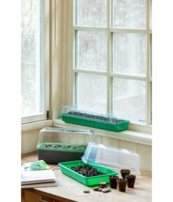 Romberg Zimmergewächshaus -Gartenmöbel Geschäft 4299970 WE MO 004 BoQubeZimmergewaechshaus