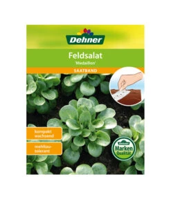 Dehner Samen-Set Easy Going -Gartenmöbel Geschäft 4322590 WE FS 005 DehnerSamenSaatgutSaemereienSetEasyGoing