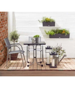 Dehner Balkon-Stapelstuhl Dallas -Gartenmöbel Geschäft 5302070 WE MO 001 Dallas