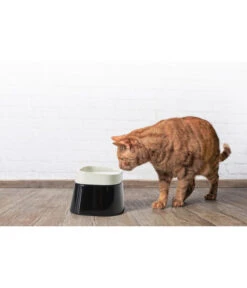 SAVIC Wassernapf Ergo Cube, Ca. B22/T22/H16 Cm -Gartenmöbel Geschäft 6628093 WE MO 001 SavicErgoCubWassernapf