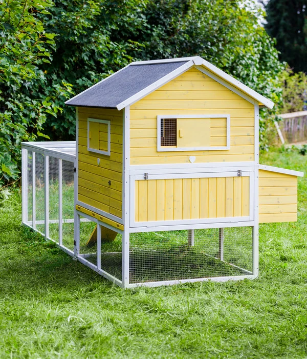 Dehner Hühnerstall Happy Farm Miami, Gelb, Ca. B337/H158,5/T145,8 Cm 5 Dehner Hühnerstall Happy Farm Miami, Gelb, Ca. B337/H158,5/T145,8 Cm – Bild 3