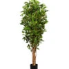 Gasper Kunstpflanze Ficus Benjamini, Ca. H150 Cm -Gartenmöbel Geschäft 6934590 WE FS 001 FicusBenjaminiH150cm