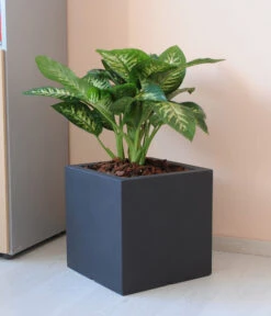 Farmet New Doppelwandiger Kunststoff-Kübel Atlantis, Quadratisch, Dunkelgrau, Inkl. Untersetzer 8 Farmet New Doppelwandiger Kunststoff-Kübel Atlantis, Quadratisch, Dunkelgrau, Inkl. Untersetzer -Gartenmöbel Geschäft 6965065 WE MO 001 FarmetNewdoppelwandigerKunststoffKuebelAtlantisrechteckig