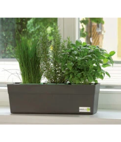 GREENBAR® Kräuterkasten, Ca. B48/H15,5/T16 Cm -Gartenmöbel Geschäft 7750482 PR MO 001 GreenbarAnleitungIndoorSeidl