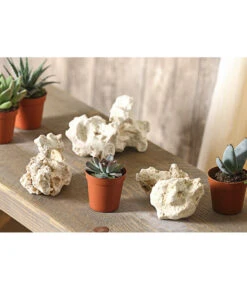 Sansibar Rock, 7-10 Cm, 3er-Set -Gartenmöbel Geschäft 7977515 WE MO 001 SansibarRockGroesseS3erSetDehnerExpressHerzig