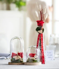 Longlife-Rose Mit Stiel, Rot -Gartenmöbel Geschäft 8170151 WE MO 001 LonglifeRoseValentin