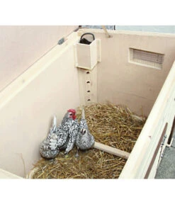 KERBL Thermo-Hühnerstall, Beheizbar, Ca. B146/H82/T74 Cm 12 KERBL Thermo-Hühnerstall, Beheizbar, Ca. B146/H82/T74 Cm -Gartenmöbel Geschäft Kerbl Thermohuehnerstall WE Mood 1